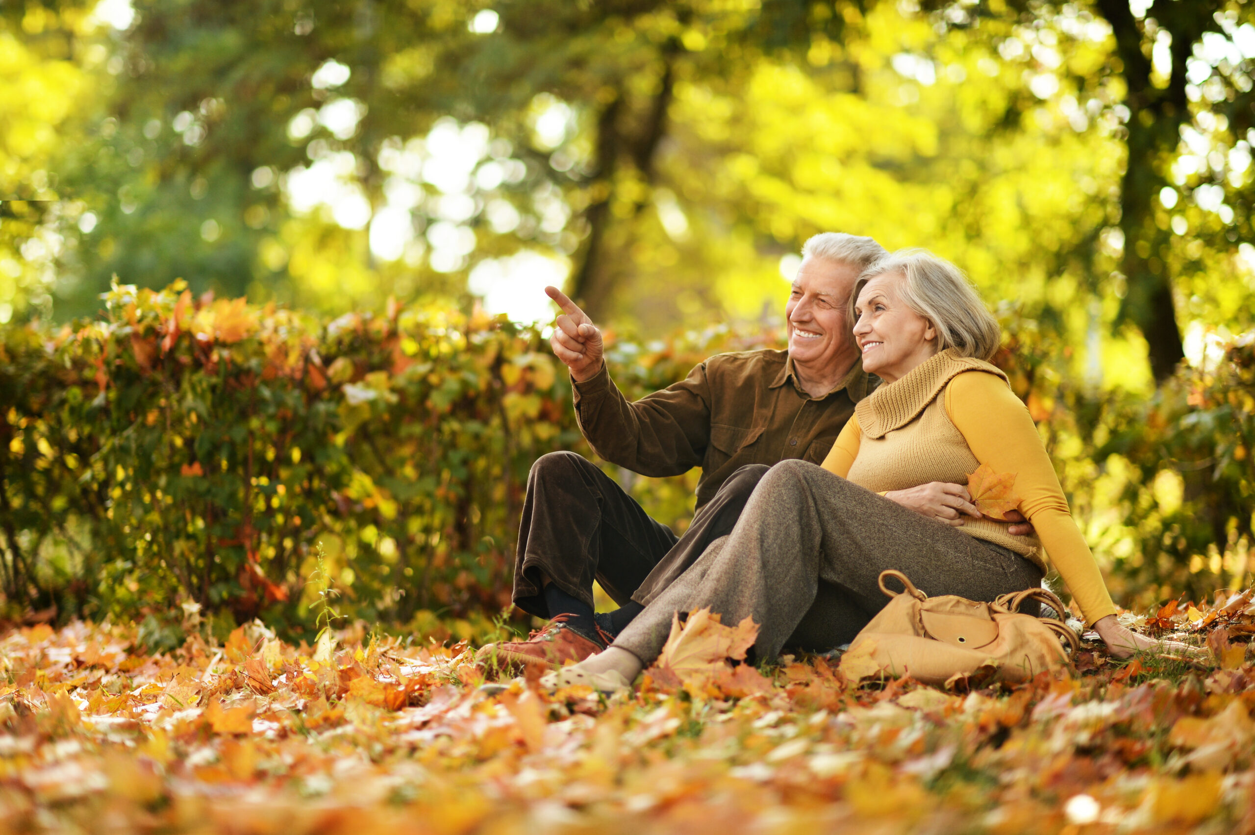 Older couple sitting in autumn park
